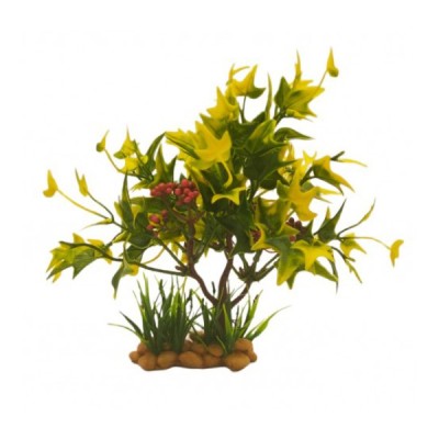 ΔΙΑΚΟΣΜΗΤΙΚΟ ΦΥΤΟ ΕΝΥΔΡΕΙΟΥ 22Χ9CM